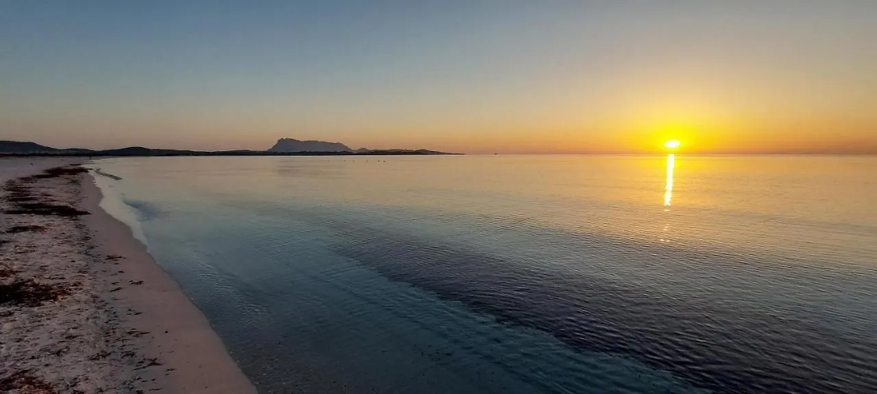 Appartamento Brigida Bilocale 2 Posti Vicino Al Centro San Teodoro  0*, San Teodoro (Sardinia) Italy